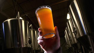 You Can Thank a Mysterious Yeast Mutation for the Invention of Cold Beer